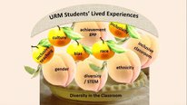 Icon for: An Integrated Approach to Retain URM STEM Students